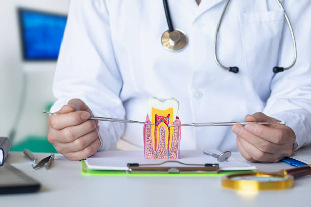 Best Emergency Root Canal Treatment in Avilla, AR